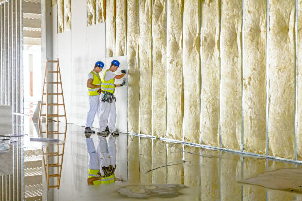 Best Spray Foam Insulation in Hudson, CO